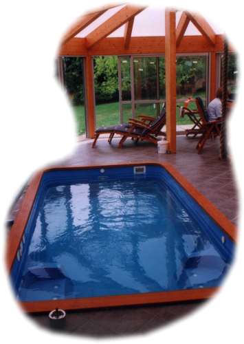 swimtrim4.jpg (19681 bytes)