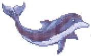 Delfin